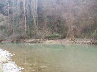 Ниже дамбы: радужка и фарио, 37 контактов за день