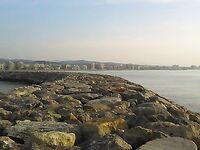 Утренний час на волнорезе: ставрида и первая сардина