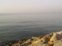 Утренний час на волнорезе: ставрида и первая сардина