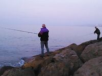 Утренний час на волнорезе: ставрида и первая сардина