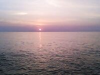 Утренний час на волнорезе: ставрида и первая сардина