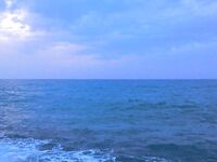 Шторм испортил «окно», ставрида и непонятный зверь