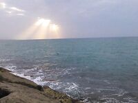 Шторм испортил «окно», ставрида и непонятный зверь