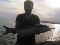 Луфариный вечер — лёгкая зыбь и Yo-Zuri Surface Cruiser 150