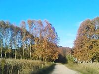 Осенняя Каталуния, рыбалка и тишина на воде