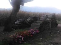 Осенняя Каталуния, рыбалка и тишина на воде