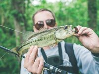 Снова за бассом в Каталунии новые точки и сорок поклёвок за день