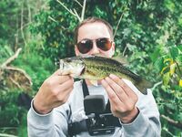 Снова за бассом в Каталунии новые точки и сорок поклёвок за день