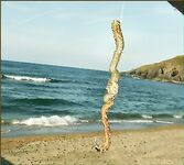 Американо вместо кореано - выбор наживки на донку в Каталунии