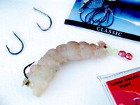 Американо вместо кореано - выбор наживки на донку в Каталунии