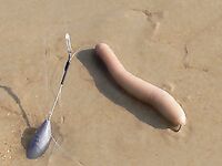 Тита и американо как насаживать правильно без лишних ссылок