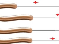 Тита и американо как насаживать правильно без лишних ссылок