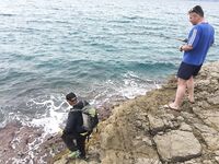 Каталуния, донка и морская рыбалка у берега