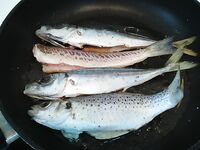 Андалусия и отпуск: морская рыбалка с берега, короткая заметка