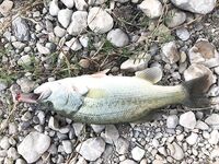 Водохранилище у Бенидорма - рыбалка по бассу дальними забросами пилькером