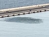 Мурсия-Картахена-Аликанте: вечерний UL в порту, скорпенка и бой у берега