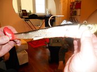 Снаряжение под Норвегию: дефицитный «шар» 500 г и остальной минимум