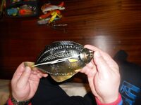 Снаряжение под Норвегию: дефицитный «шар» 500 г и остальной минимум