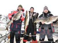 Seiland Brygge, 26.04.2013: старт сезона и морская рыбалка рядом