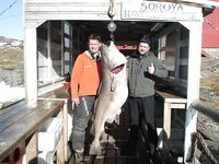 Соседняя база: треска 47 кг, 160 см — фото в ленте