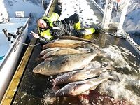 Сжал фото, загрузка пошла — продолжу галерею