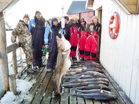 Серёя, май 2014 — автобус, паром и первые цифры по улову