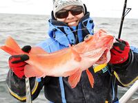 Серёя, май 2014 — автобус, паром и первые цифры по улову