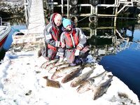 Серёя, май 2014 — автобус, паром и первые цифры по улову