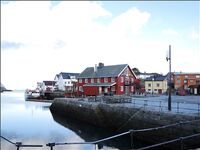 Лофотены: 13 мостов и 13 тоннелей, каютный ARVOR и морская рыбалка по крупной