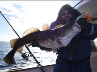 Лофотены: 13 мостов и 13 тоннелей, каютный ARVOR и морская рыбалка по крупной