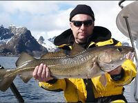 Лофотены: 13 мостов и 13 тоннелей, каютный ARVOR и морская рыбалка по крупной