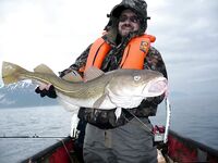 Lyngen на карте, нужны координаты по точке и про зубатку