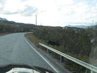 Отчёт позже, вернусь с дачи — короткая пометка