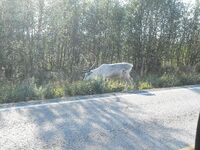 Отчёт позже, вернусь с дачи — короткая пометка