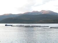 Отчёт позже, вернусь с дачи — короткая пометка