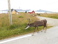 Отчёт позже, вернусь с дачи — короткая пометка