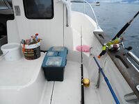 Отчёт позже, вернусь с дачи — короткая пометка