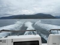 Отчёт позже, вернусь с дачи — короткая пометка