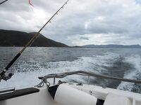 Отчёт позже, вернусь с дачи — короткая пометка