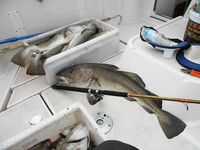 Отчёт позже, вернусь с дачи — короткая пометка