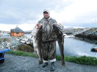 Отчёт позже, вернусь с дачи — короткая пометка