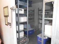 Отчёт позже, вернусь с дачи — короткая пометка