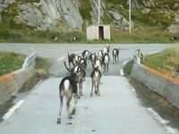 Отчёт позже, вернусь с дачи — короткая пометка