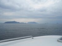 Отчёт позже, вернусь с дачи — короткая пометка