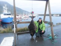 Отчёт позже, вернусь с дачи — короткая пометка