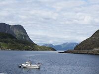 Сейланд, три дня на воде и палтус 15 кг — бюджетная морская рыбалка