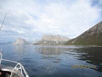 Норвегия вне воды: таможенная собака, батарея у моря и морская рыбалка рядом