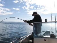 Хитра и Fjellvær Gjestegård: семья макрель и морская рыбалка с глубины