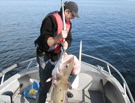 Хитра и Fjellvær Gjestegård: семья макрель и морская рыбалка с глубины