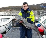 Зубатки Норвегии три вида и рабочие глубины